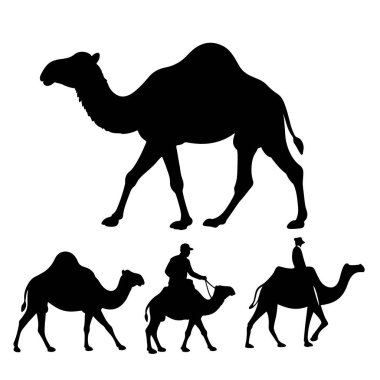 Set of black camels silhouettes on white background illustration clipart