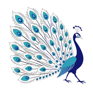 colorful Peacock Cartoon Animal Nature Icon Concept Isolated design clipart