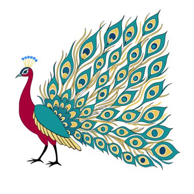 colorful Peacock Cartoon Animal Nature Icon Concept Isolated design clipart