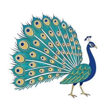 colorful Peacock Cartoon Animal Nature Icon Concept Isolated design clipart