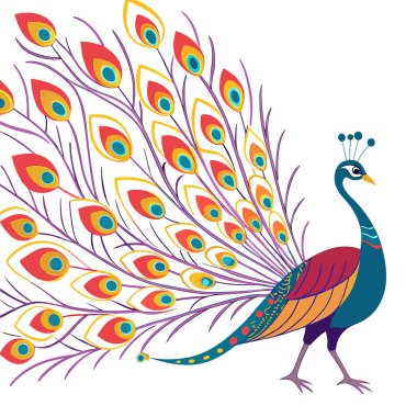 colorful Peacock Cartoon Animal Nature Icon Concept Isolated design clipart