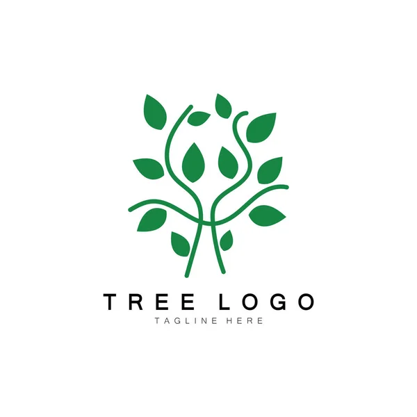 Logotipo Abstracto Del Árbol Para Naturaleza Forestal Del Parque Con — Vector de stock