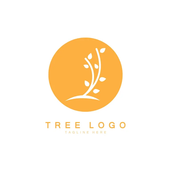 Logotipo Abstracto Del Árbol Para Naturaleza Forestal Del Parque Con — Vector de stock