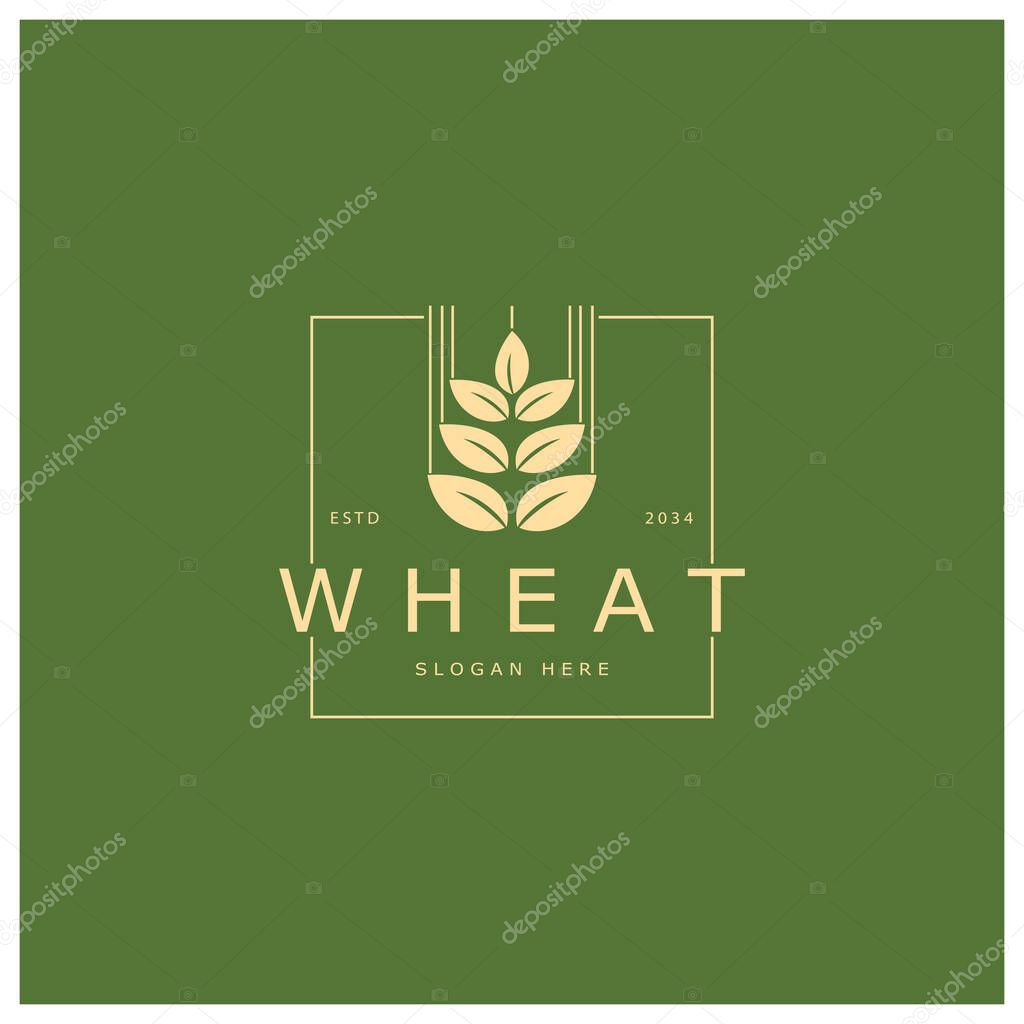 Agriculture Wheat logo template vector icon design