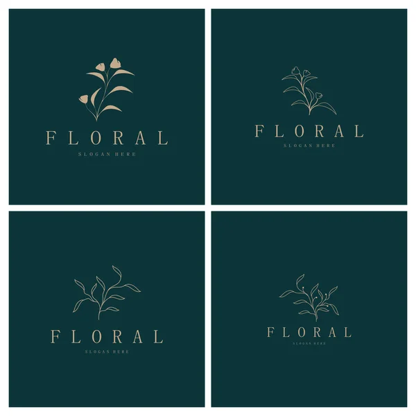 Elegant Blommig Och Bladstomme Delikat Botanisk Vektor Illustration För Etiketter — Stock vektor