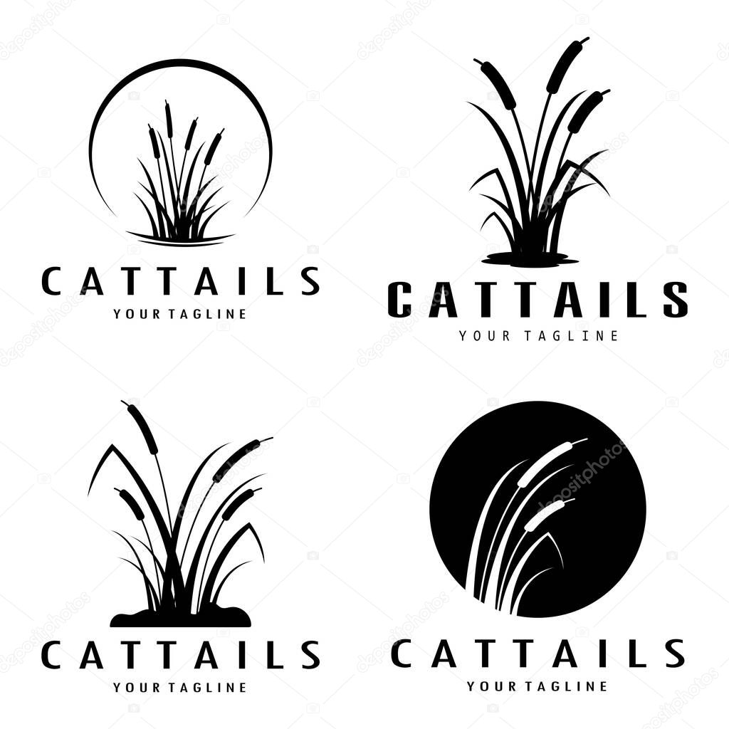 Cattails or river reed grass plant logo design, aquatic plants, swamp, wild grass vector