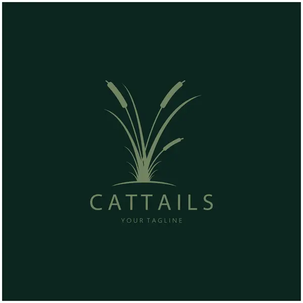 stock vector cattails or river reed grass plant logo design, aquatic plants, swamp, wild grass vector