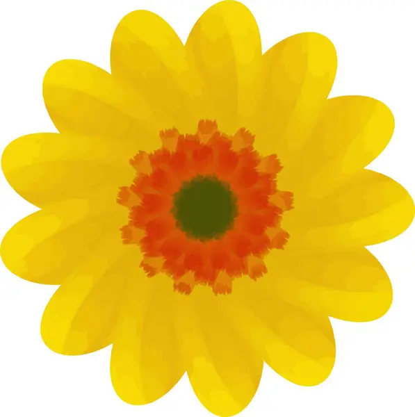 Beyaz arkaplanda sarı çiçekler