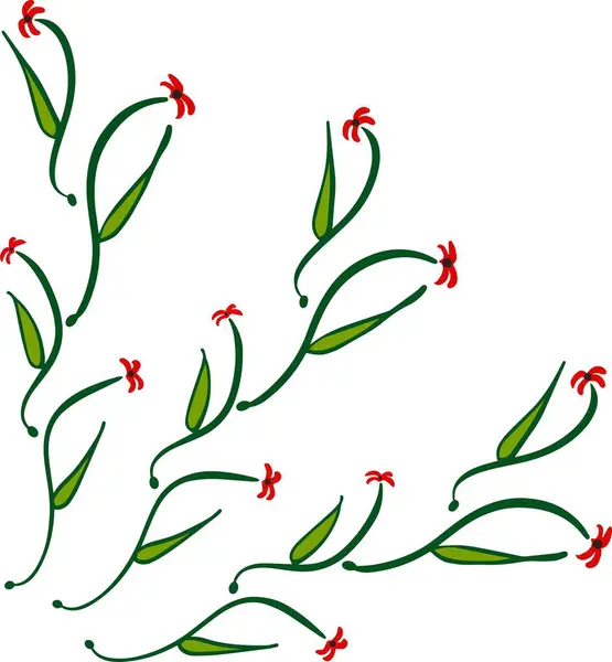 Kutsal böğürtlenli Noel şubesi, vektör, izole edilmiş