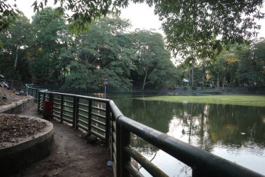 Parkta çeşmesi olan bir gölet.