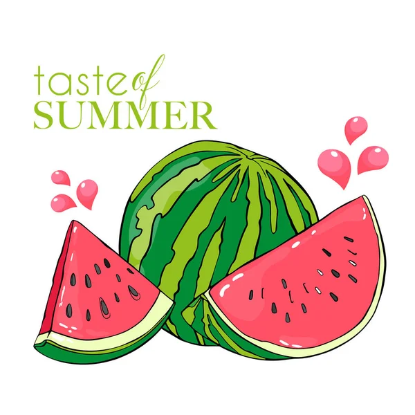 Sommer Bemalt Und Mit Wassermelone — Stockvektor