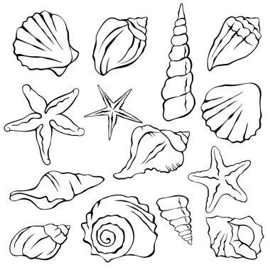  boyanmış kabuklar ile kontur