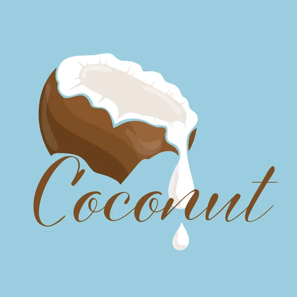 원추에 코코넛 아이스크림 — 스톡 벡터
