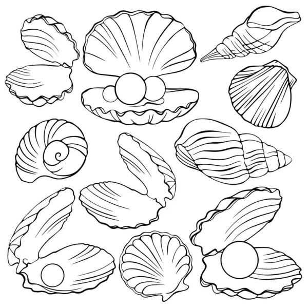 Set Hand Painted Shells — Stock Vector