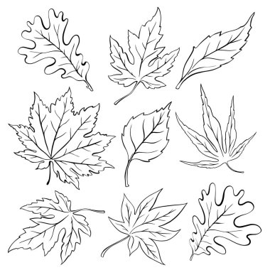 Yapraklarla boyanmış