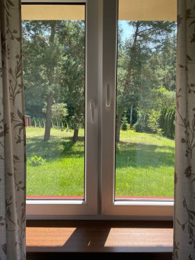 Ormanın pencere manzarası