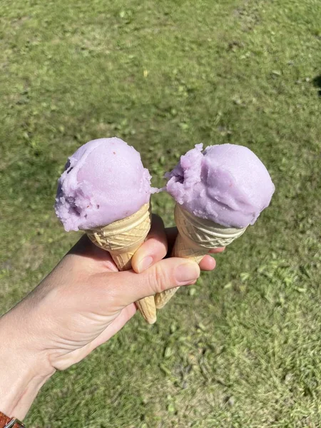 Два Лавандовых Мороженого Руке — стоковое фото