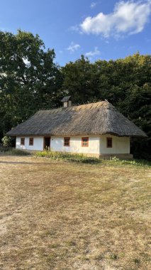Ormandaki sazdan çatılı eski evin güzel bir fotoğrafı. Ukrayna 'nın eski köyü