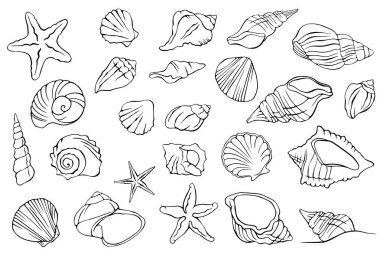 Su kabukları ve beyaz arkaplanda deniz yıldızı ile boyanmış..