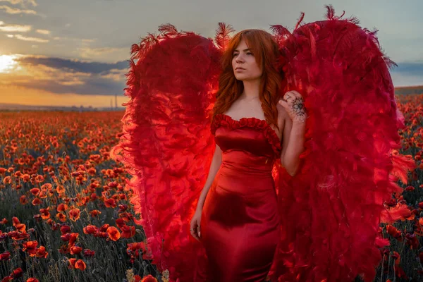 Piękna Kobieta Czerwonymi Skrzydłami Polu Maków — Zdjęcie stockowe