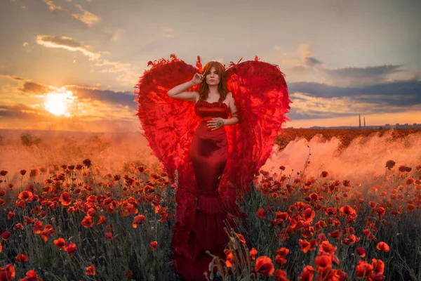Haşhaş Tarlasında Kırmızı Kanatlı Güzel Bir Kadın — Stok fotoğraf