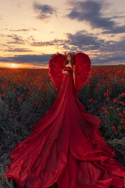 Gyönyörű Piros Szárnyakkal Mák Mezőn — Stock Fotó