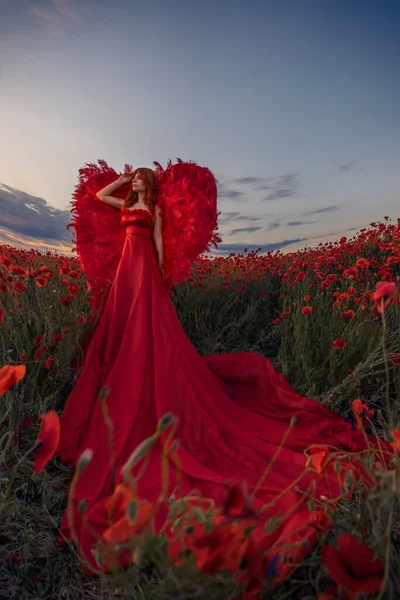 Όμορφη Γυναίκα Κόκκινα Φτερά Στο Χωράφι Τις Παπαρούνες — Φωτογραφία Αρχείου