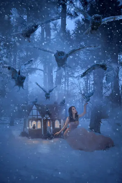 冬のフクロウと小さな家を持つ美しい女性 ストックフォト