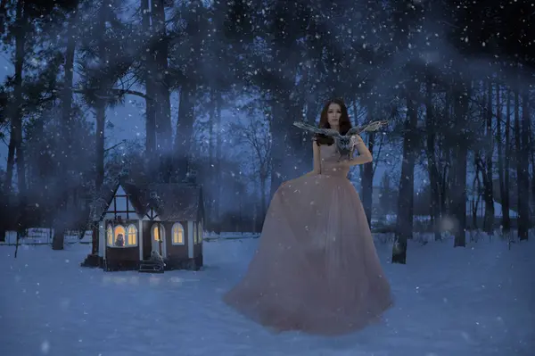 冬のフクロウと小さな家を持つ美しい女性 ロイヤリティフリーのストック写真