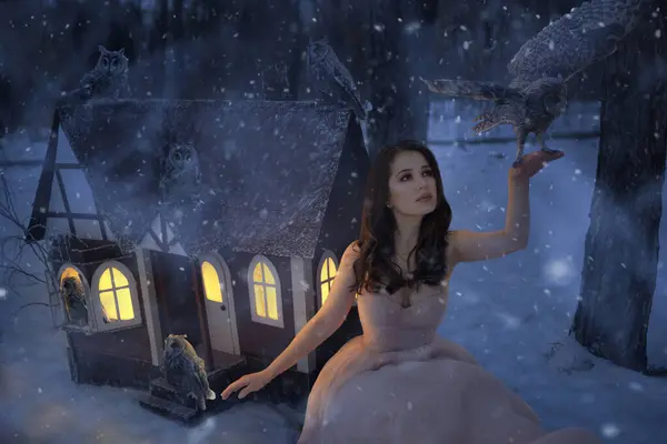 冬のフクロウと小さな家を持つ美しい女性 ロイヤリティフリーのストック画像