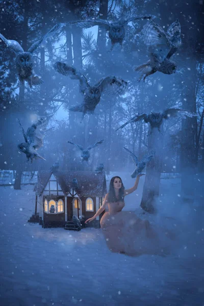 冬のフクロウと小さな家を持つ美しい女性 ストック画像