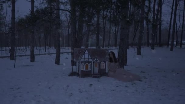 Красива Жінка Совами Маленький Будинок Взимку — стокове відео