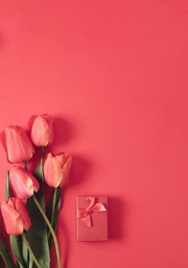 Kırmızı arka planda bahar lalelerinin yaratıcı düzenlemesi. Çiçekler düzdü. Monokromatik kopyalama alanı.