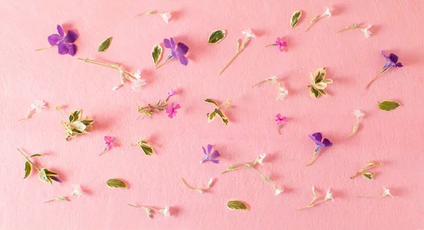 stock image Creative pattern made of colorful flowers on pastel pink background. Minimal style. Flat lay.