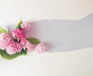 Renkli çiçekler ve yeşil yapraklardan oluşan yaratıcı bir düzen. Minimum tatil konsepti. Düz bir şekilde yatıyordu. Boşluğu kopyala