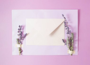 Zarf ve kuru lavanta ile yaratıcı bir düzenleme. Asgari sınır kavramı. Boşluğu kopyala