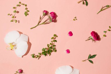 Pastel pembe arka planda çeşitli çiçek ve yapraklardan oluşan yaratıcı desen. Düz yatıyordu. Yakın plan.