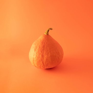 Turuncu balkabağı ve arka plan. Minimum sonbahar ve Cadılar Bayramı konsepti. Monokrom kapat