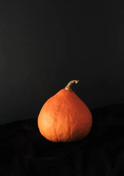 Citrouille Orange Sur Fond Noir Concept Automne Halloween Minimal — Photo