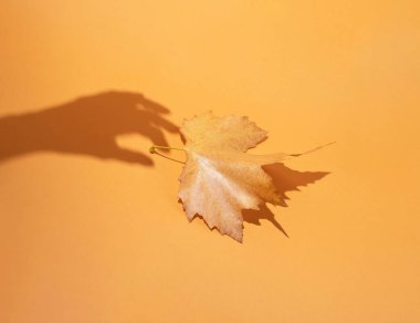 Kuru bir çınar yaprağı ve turuncu arka planda bir kadının elinin gölgesi. Tek renkli sonbahar konsepti. Kapat.