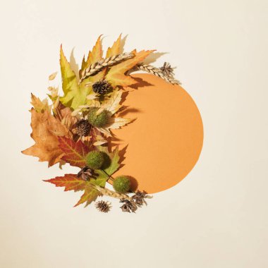 Düşen kuru yapraklardan, buğday ve ağaç meyvelerinden oluşan sonbahar çelengi. Kağıt kartlı doğal yuvarlak çerçeve düzeni. Düz yatıyordu.