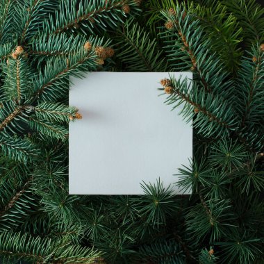 Kağıt kartla Noel ağacı dallarından yapılmış yaratıcı bir düzen. Düz yatıyordu. Doğa Yeni Yıl Konsepti.