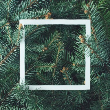 Kağıt kartla Noel ağacı dallarından yapılmış yaratıcı bir düzen. Düz yatıyordu. Doğa Yeni Yıl Konsepti.