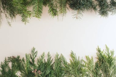 Noel ağacı dalı en az yaratıcı düzeni. Yeni yıl Noel arka plan kavramı.