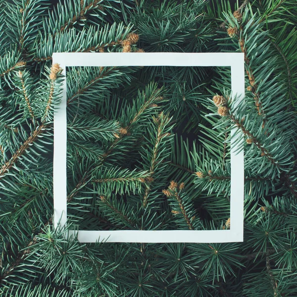 Kağıt kartla Noel ağacı dallarından yapılmış yaratıcı bir düzen. Düz yatıyordu. Doğa Yeni Yıl Konsepti.