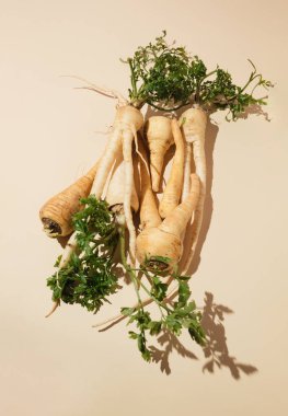 Işık yüzeyinde yeşil yapraklı havuç kökleri yığını. Sağlıklı beslenme kavramı