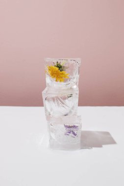 Kontrastlı arkaplanda bahar çiçekleri olan üç buz küpü yerleşimi.