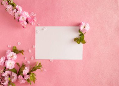 Pembe çiçeklerin ve pembe arka planın yaratıcı bileşimi. Çiçek düzlüğü yatıyordu. Boşluğu kopyala