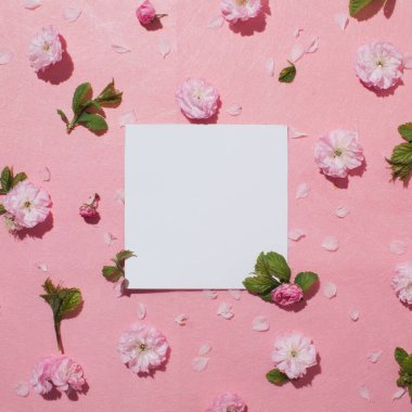 Pembe pastel arka planda pembe çiçek deseni. Asgari bahar konsepti. Düz yatıyordu. Boşluğu kopyala