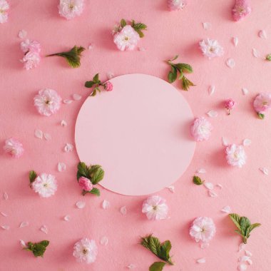 Pembe pastel arka planda pembe çiçek deseni. Asgari bahar konsepti. Düz yatıyordu. Boşluğu kopyala